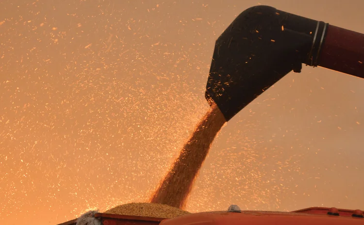 Combine harvesting corn on autumn afternoon 