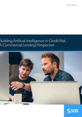 Building Artificial Intelligence in Credit Risk: A Commercial Lending Perspective