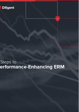 7 Steps to Performance-Enhancing ERM