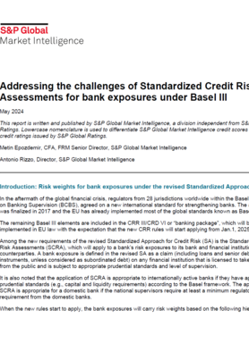 The challenges of standardised credit risk assessments for banks under Basel III