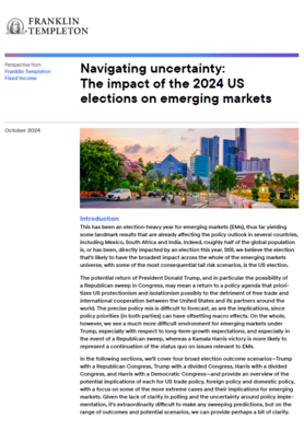 Navigating uncertainty: the impact of the 2024 US elections on emerging markets